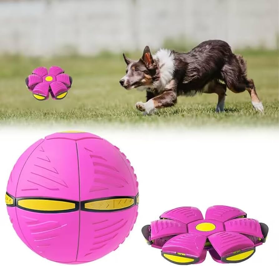 A incrível bola voadora - PET TOY™ -  2X1 OFERTA - (VENDA DE FECHAMENTO)